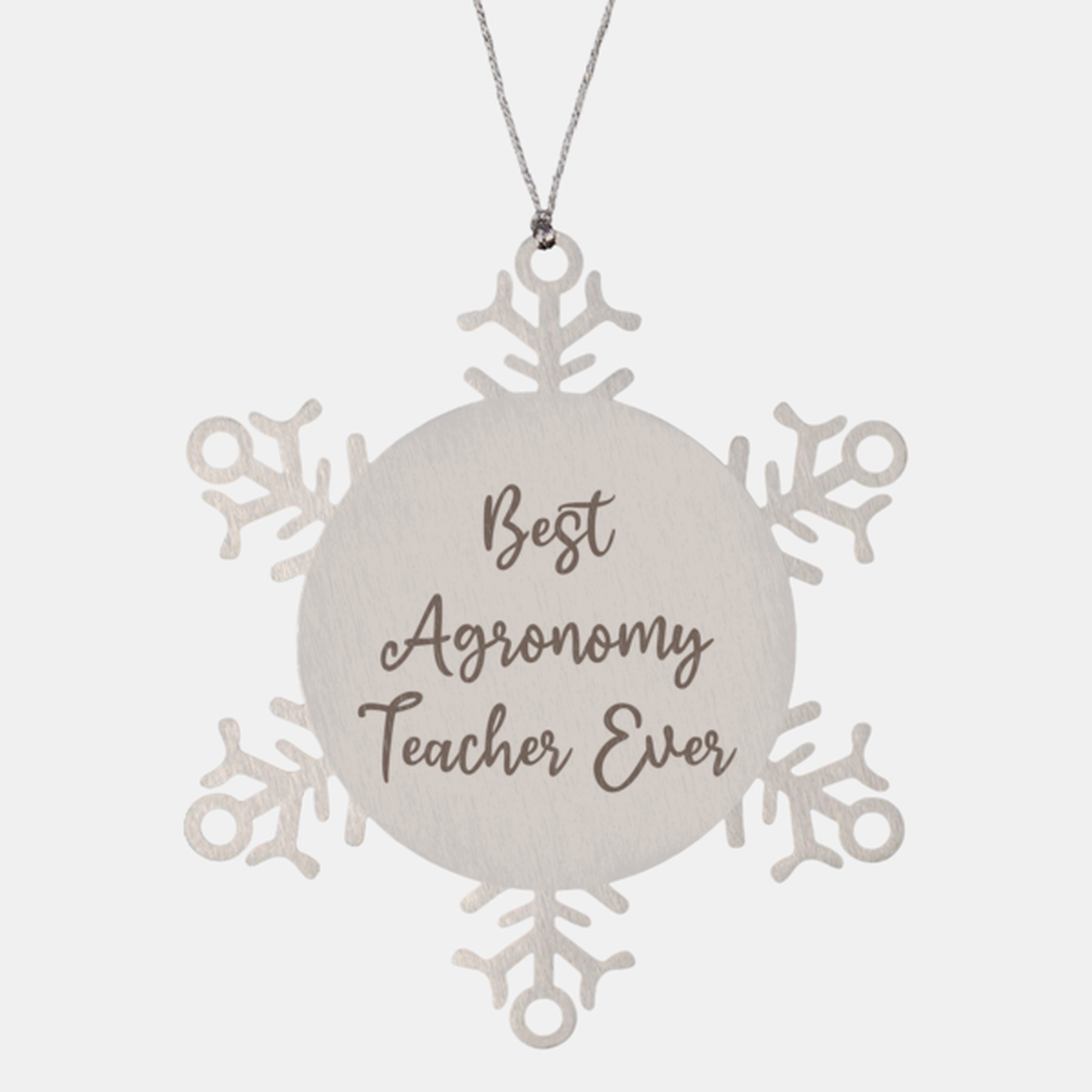 Best Agronomy Teacher Ever Ornament Christmas Gift for Him Her Snowflake Ornament