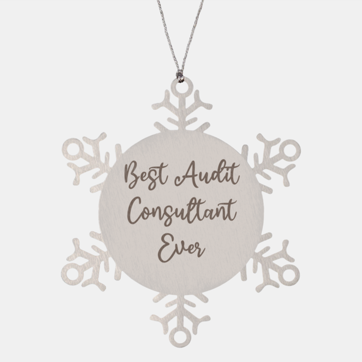 Best Audit Consultant Ever Ornament Christmas Gift for Him Her Snowflake Ornament