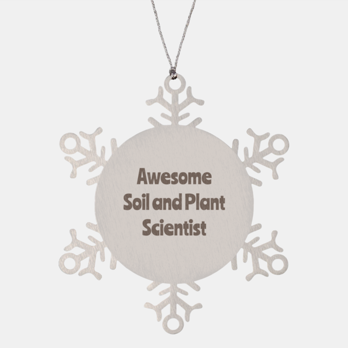 Soil and Plant Scientist Gift Stainless Steel Snowflake Ornament Christmas Gift Awesome